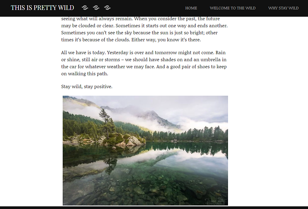 2018 02 13 09 31 31 This is Pretty Wild Page 2 an awkward transgression into the real world,xlarge.1518522144