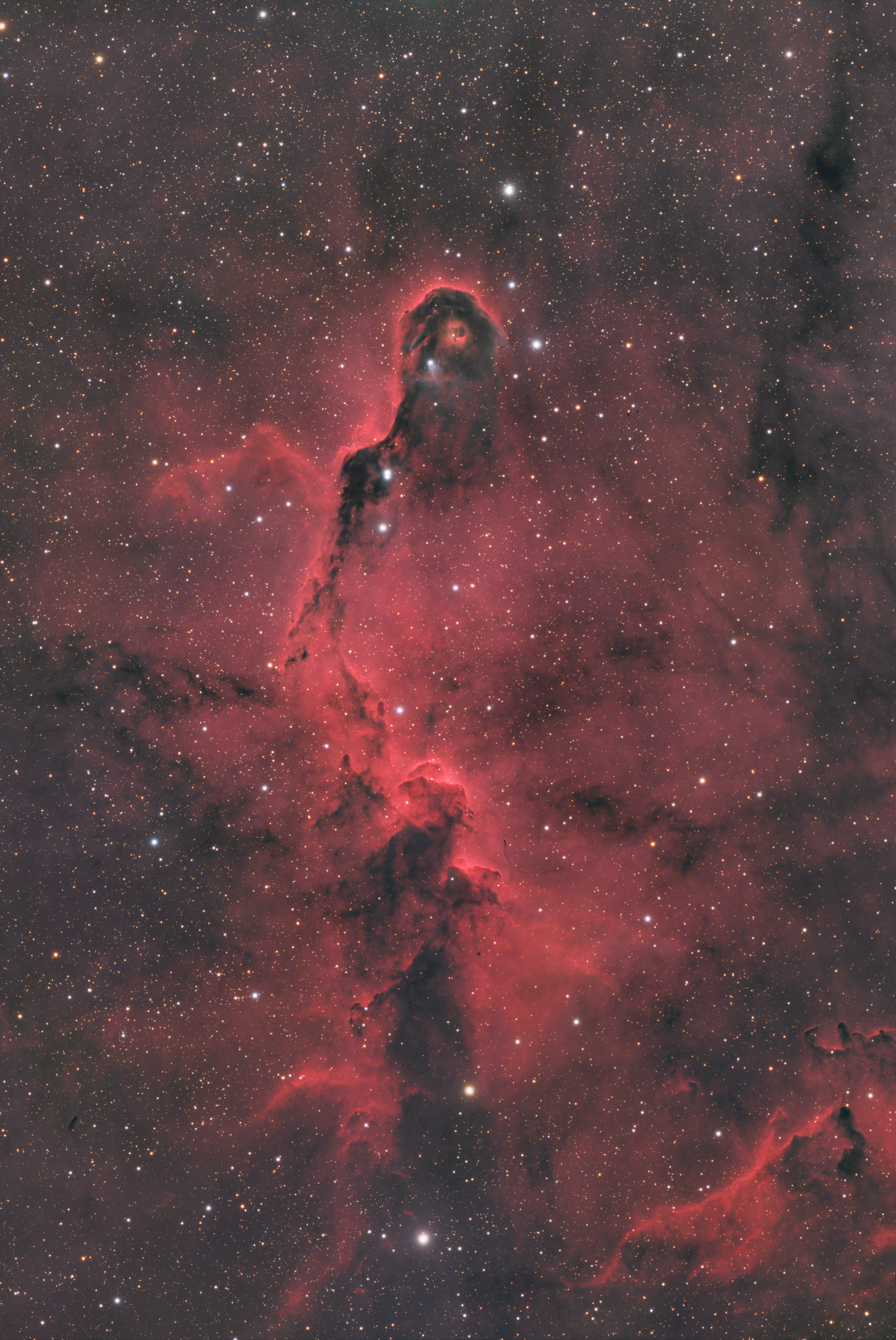 IC 1396A als Kombination aus RGB, H-alpha und SII