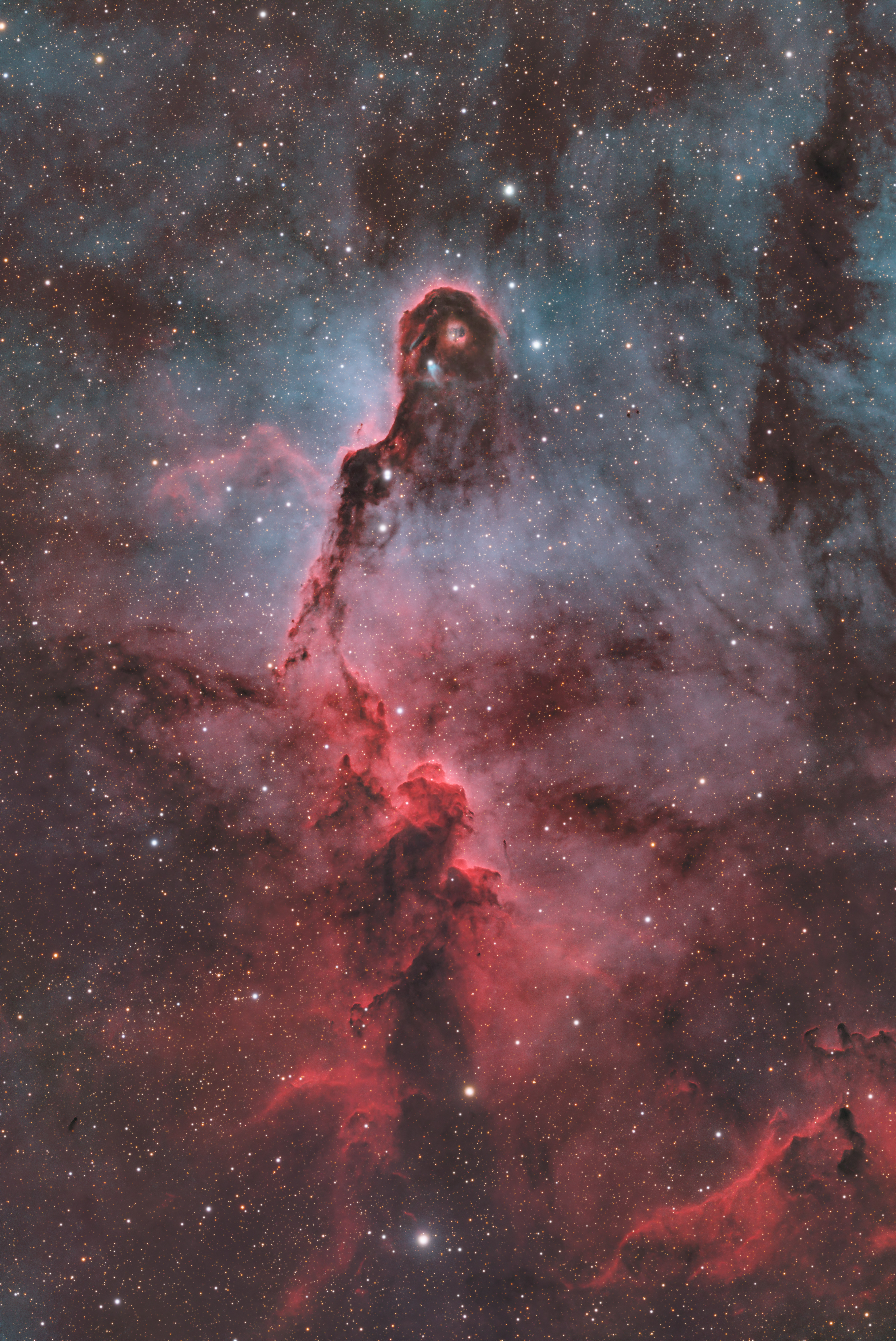 IC 1396A als Kombination aus RGB, H-alpha, SII und OIII