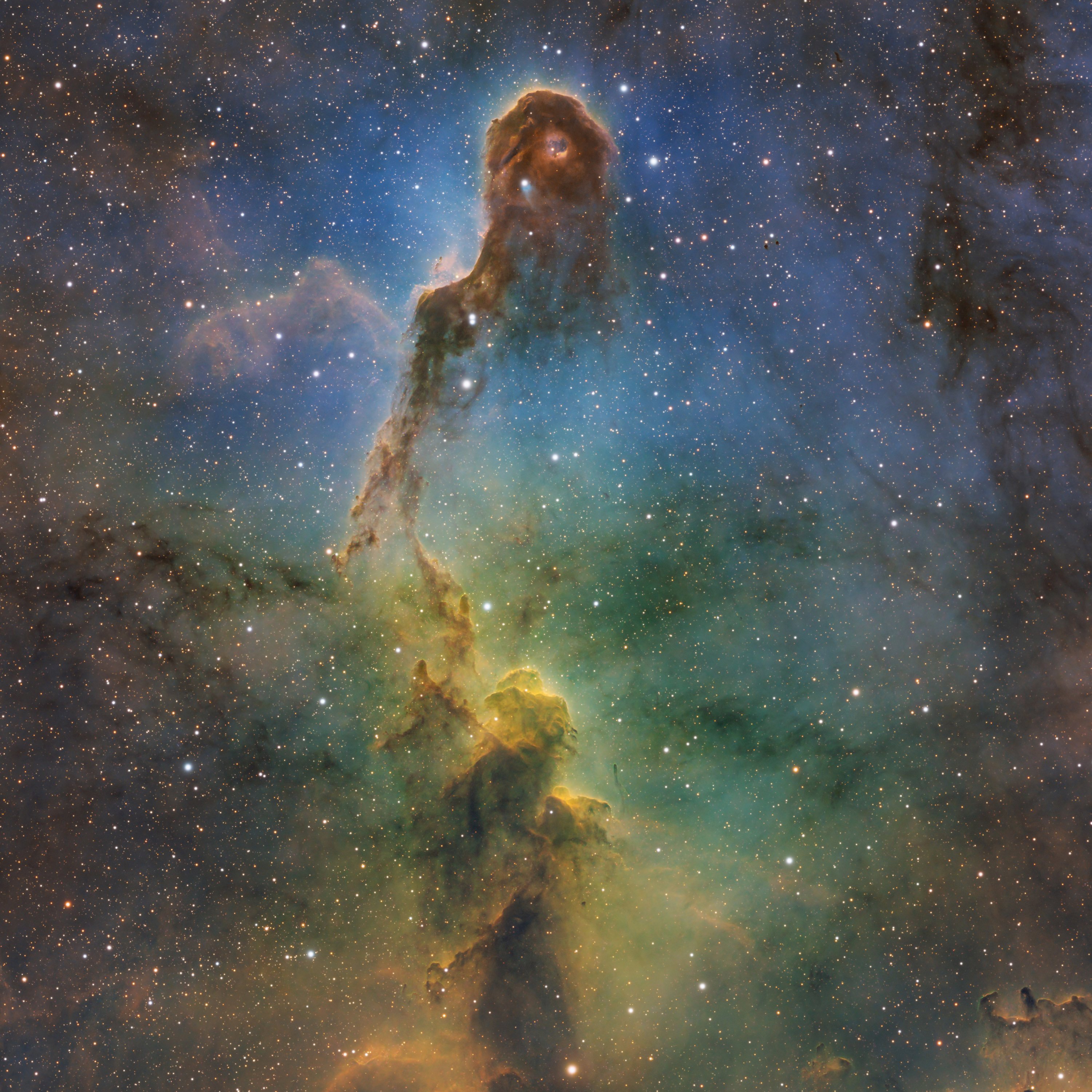 IC 1396A – Der Elefantenrüsselnebel in Farbe und bunt
