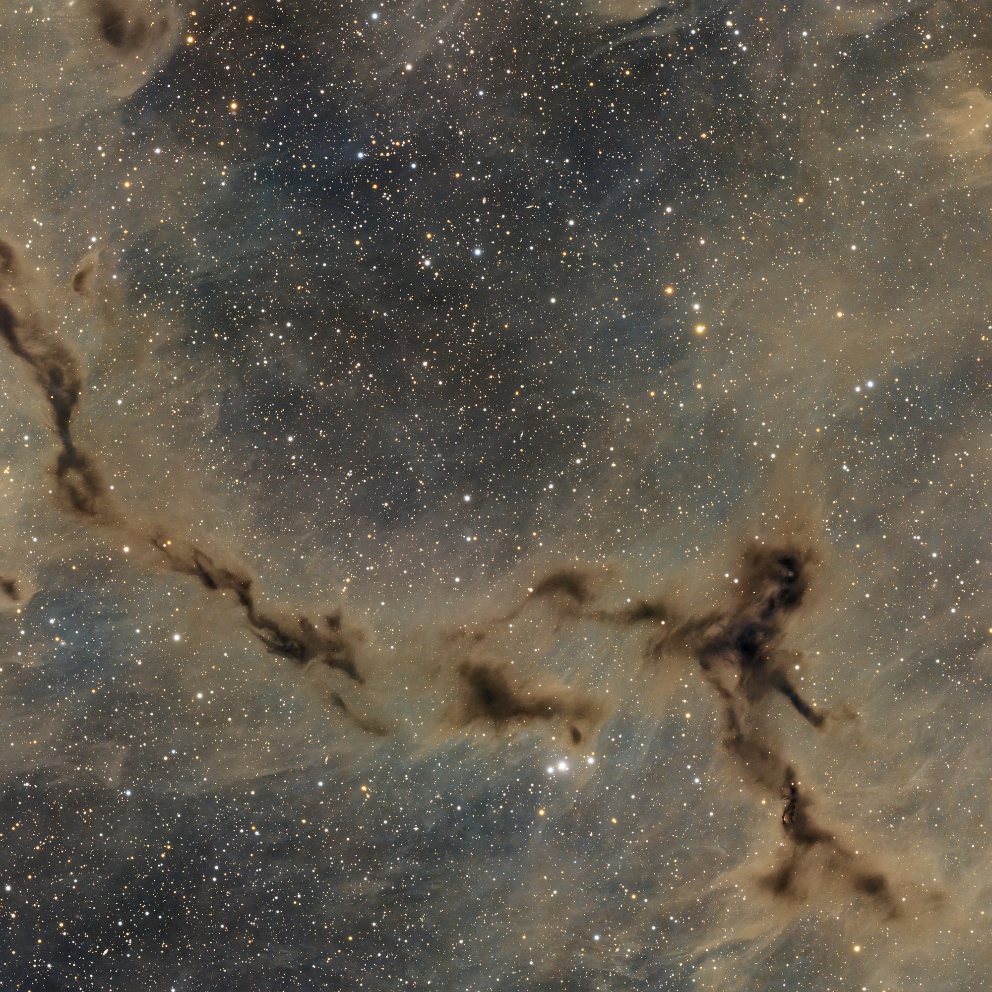Das dunkle Seepferdchen im Cepheus – LDN 1082 (Barnard 150)