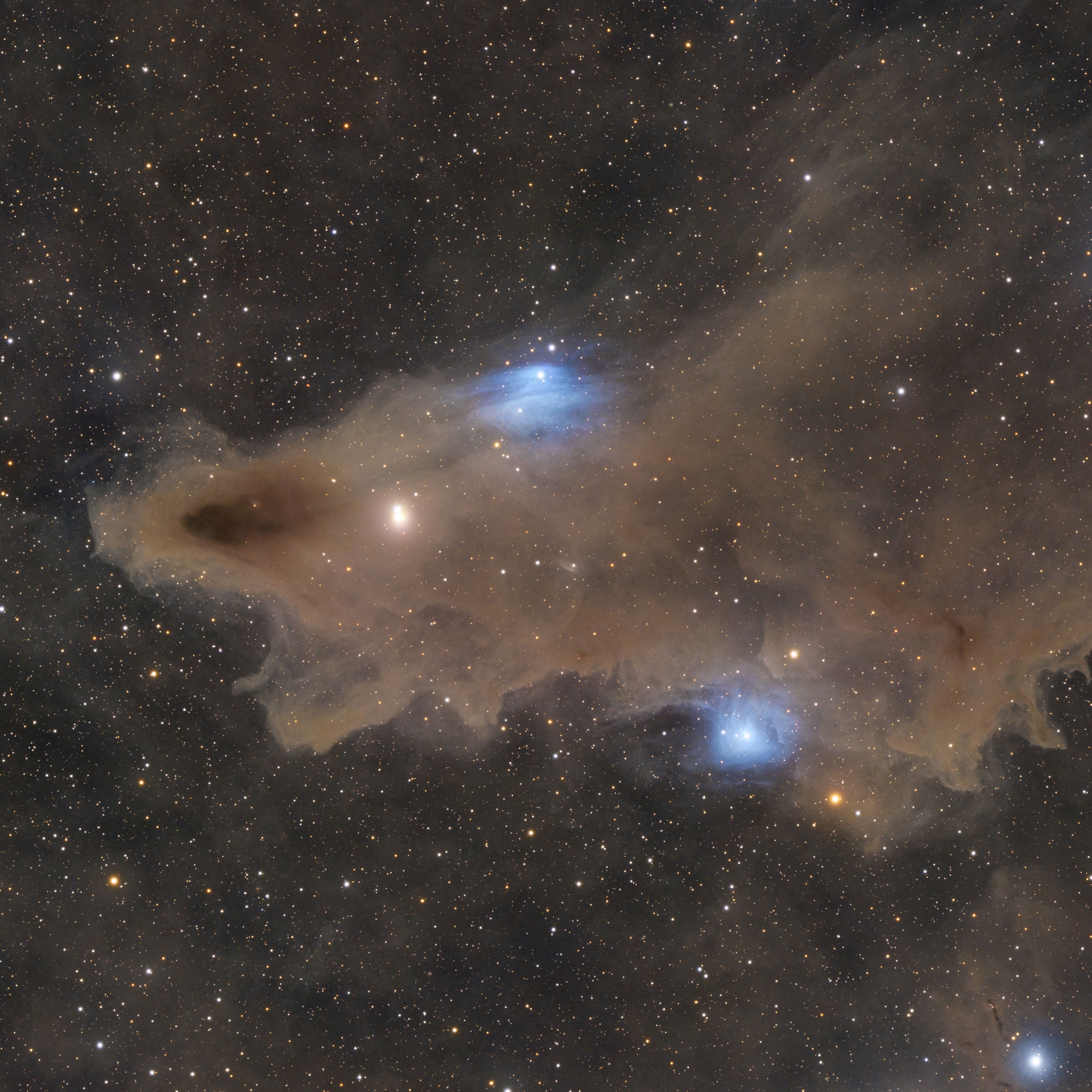 Der Haifisch im Cepheus – LDN 1235