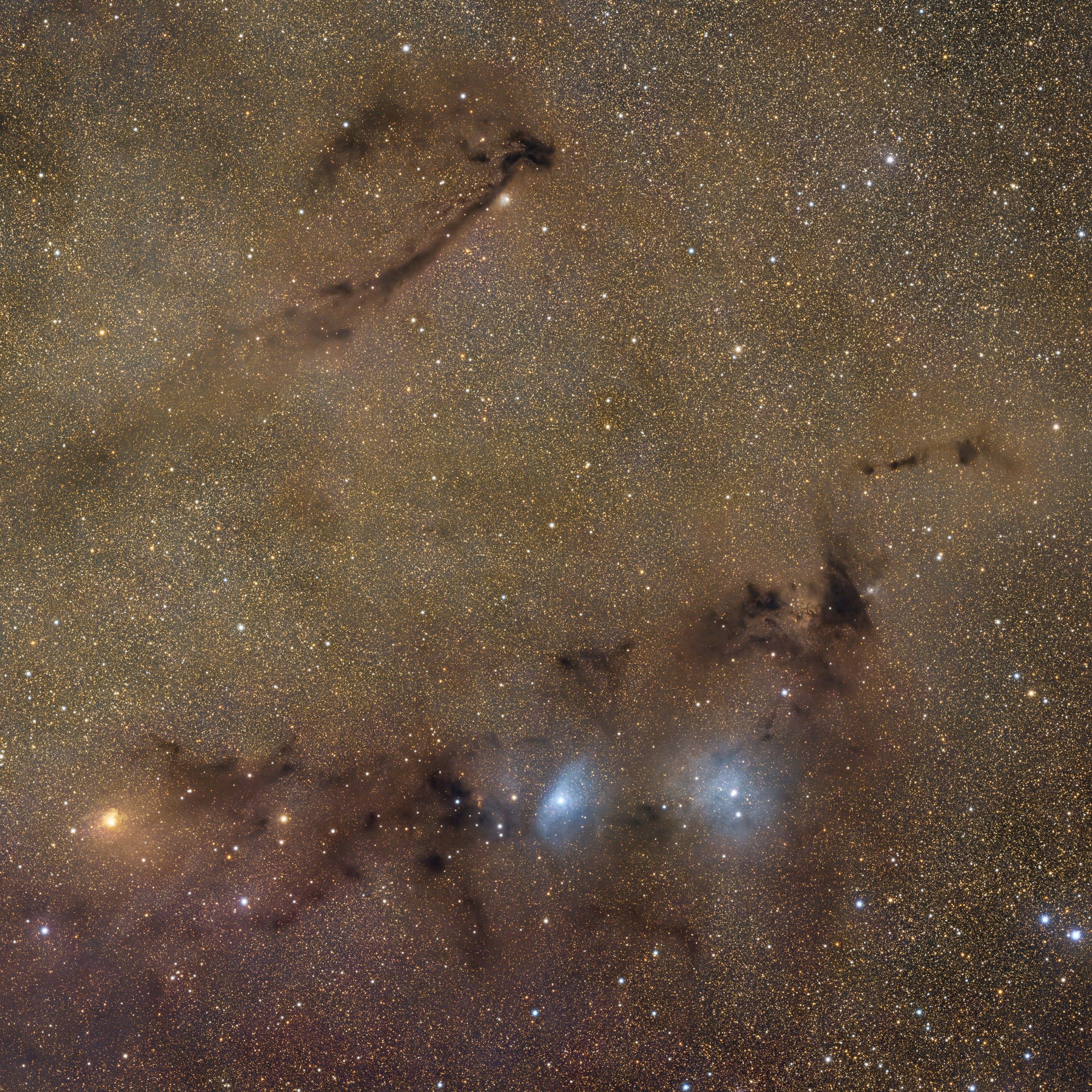 LDN 768 und das „Loch Ness Monster“ in Vulpecula